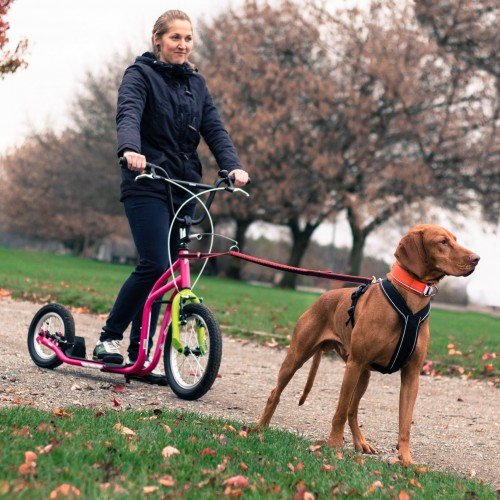 Самокат Yedoo MAU UPGRADE Зеленый